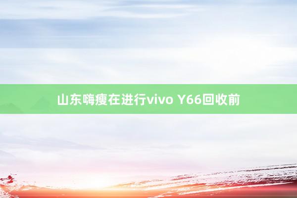 山东嗨瘦在进行vivo Y66回收前