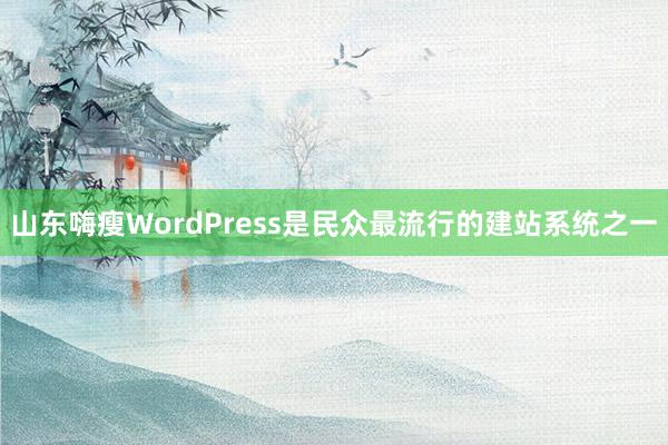 山东嗨瘦WordPress是民众最流行的建站系统之一
